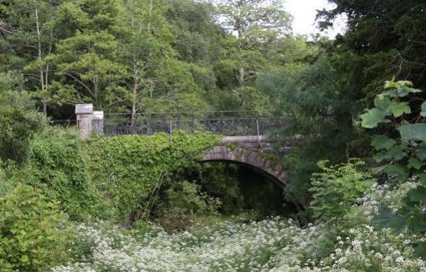 Lake Lodge Guesthouse キラーニー エクステリア 写真
